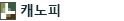 캐노피